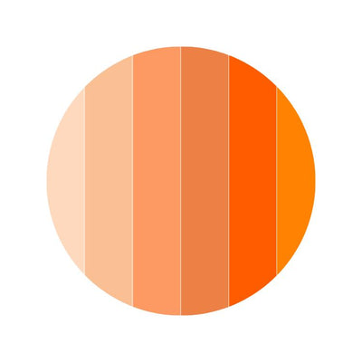 Orange Rugs