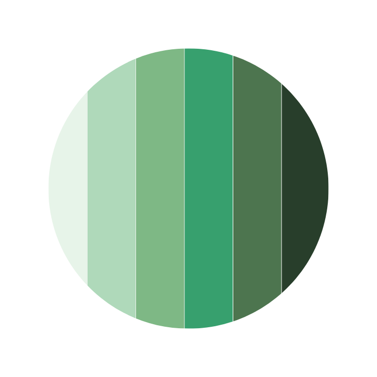 Green Rugs